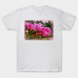 Blushing Pink Roses T-Shirt